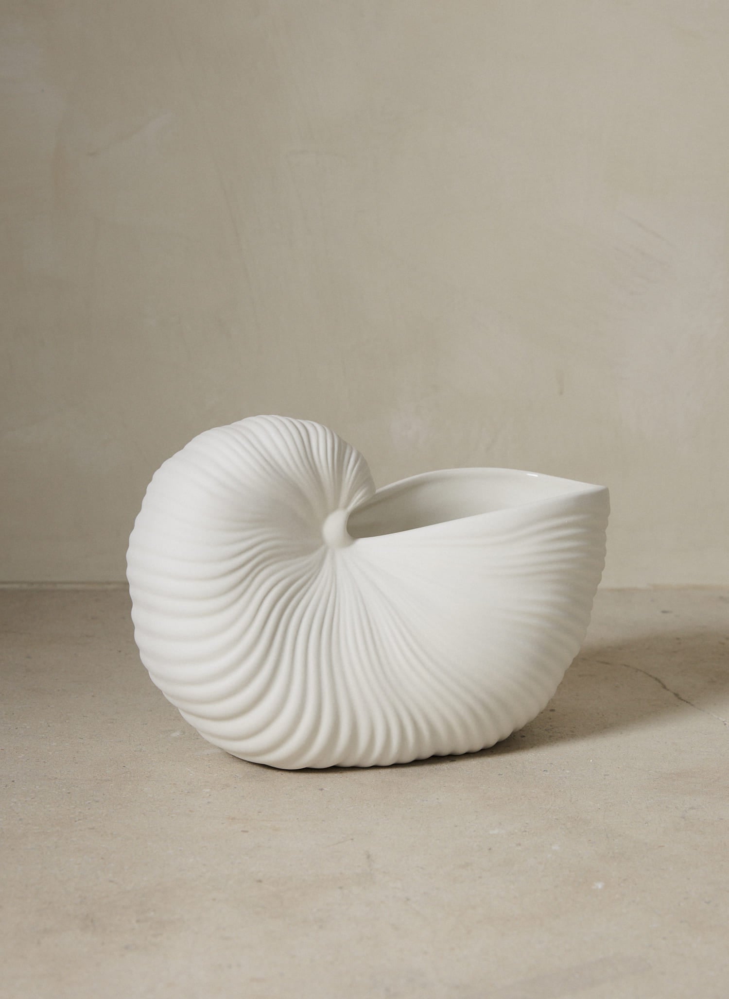 Shell Pot. A distinctive decorative vessel in a shell form reminiscent of the sea. 